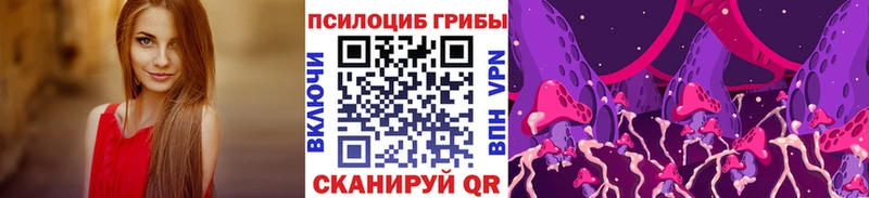 Псилоцибиновые грибы Psilocybe  Сухой Лог 