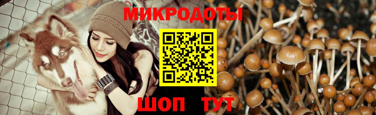 Псилоцибиновые грибы прущие грибы  как найти наркотики  Сухой Лог  Вход с VPN 